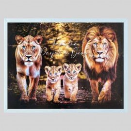 Imagem sobre Quadro caixote 60x90